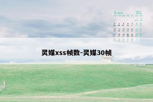 灵媒xss帧数-灵媒30帧