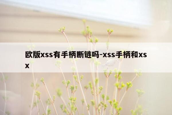欧版xss有手柄断链吗-xss手柄和xsx