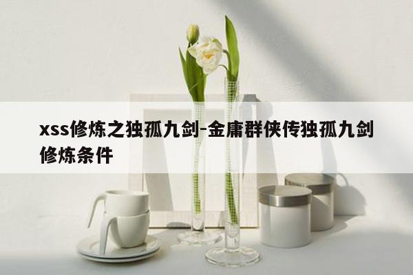 xss修炼之独孤九剑-金庸群侠传独孤九剑修炼条件