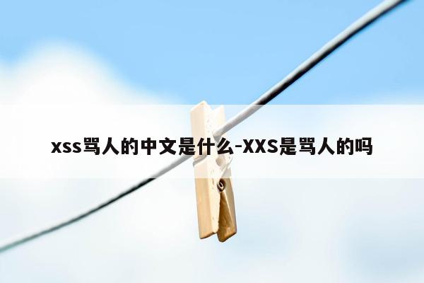 xss骂人的中文是什么-XXS是骂人的吗