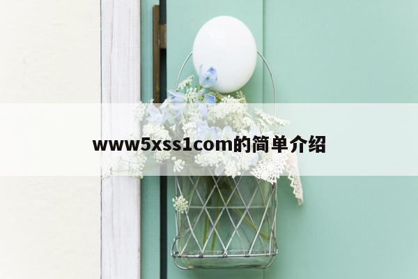 www5xss1com的简单介绍