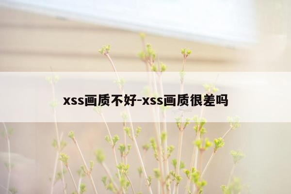 xss画质不好-xss画质很差吗