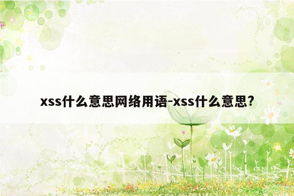 xss什么意思网络用语-xss什么意思?