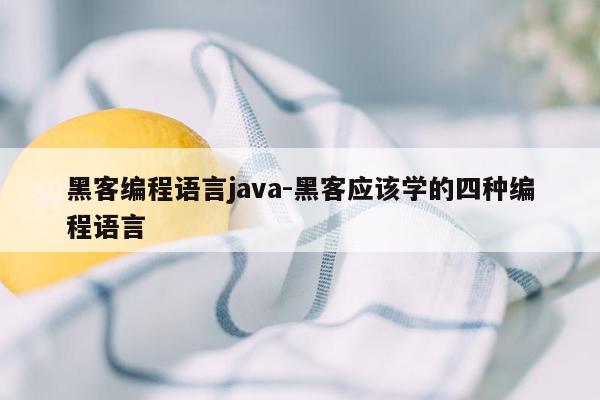 黑客编程语言java-黑客应该学的四种编程语言