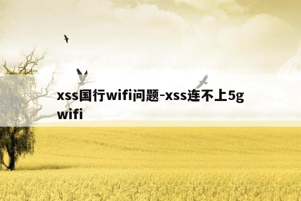 xss国行wifi问题-xss连不上5gwifi