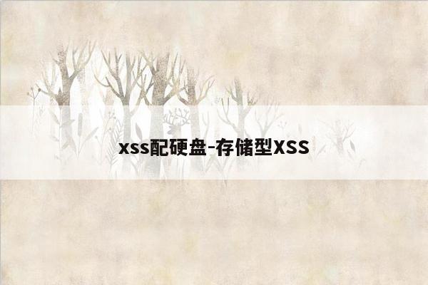 xss配硬盘-存储型XSS