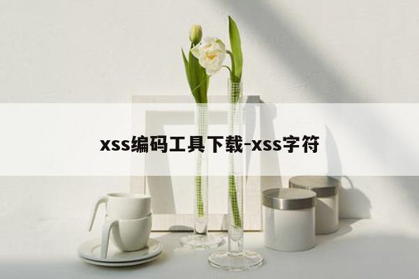 xss编码工具下载-xss字符