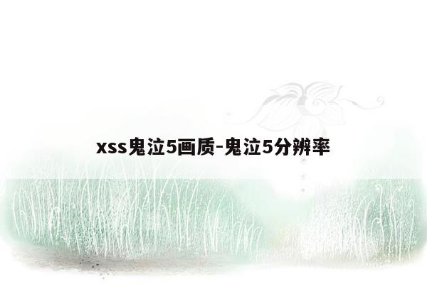 xss鬼泣5画质-鬼泣5分辨率