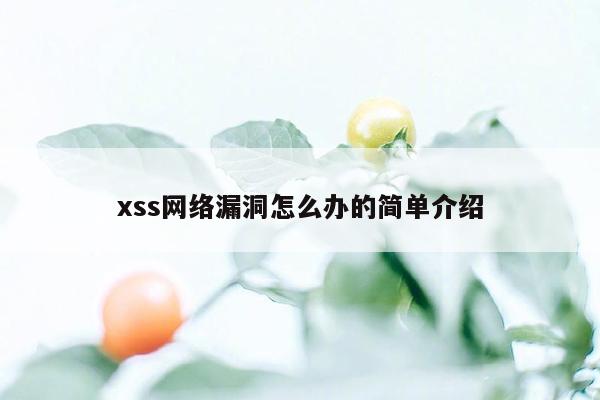 xss网络漏洞怎么办的简单介绍