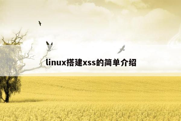 linux搭建xss的简单介绍