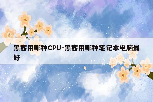 黑客用哪种CPU-黑客用哪种笔记本电脑最好