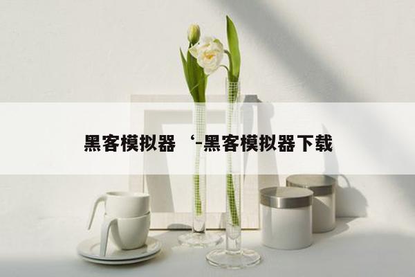 黑客模拟器‘-黑客模拟器下载