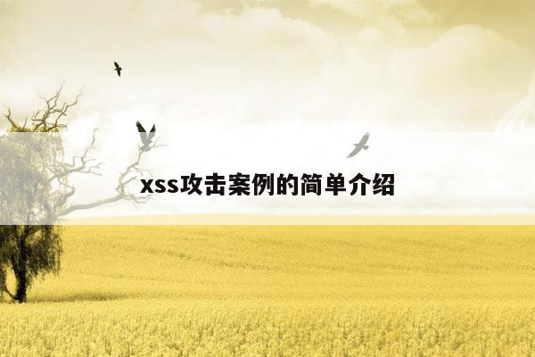 xss攻击案例的简单介绍