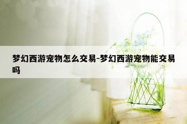 梦幻西游宠物怎么交易-梦幻西游宠物能交易吗