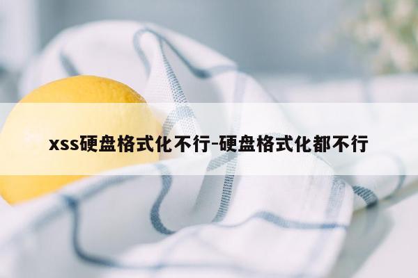 xss硬盘格式化不行-硬盘格式化都不行