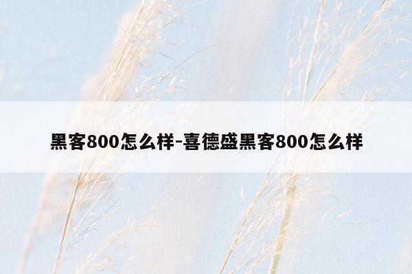 黑客800怎么样-喜德盛黑客800怎么样