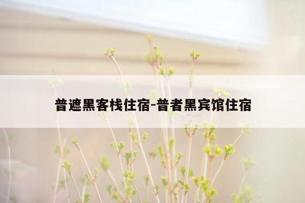 普遮黑客栈住宿-普者黑宾馆住宿