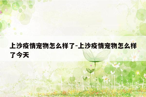 上沙疫情宠物怎么样了-上沙疫情宠物怎么样了今天