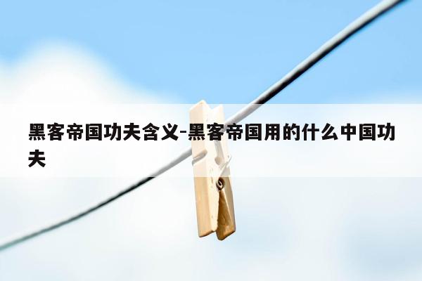 黑客帝国功夫含义-黑客帝国用的什么中国功夫