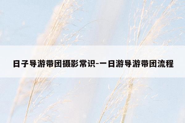 日子导游带团摄影常识-一日游导游带团流程