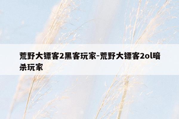 荒野大镖客2黑客玩家-荒野大镖客2ol暗杀玩家