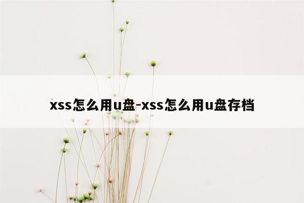 xss怎么用u盘-xss怎么用u盘存档