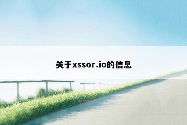 关于xssor.io的信息