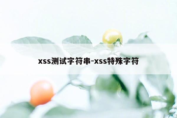 xss测试字符串-xss特殊字符