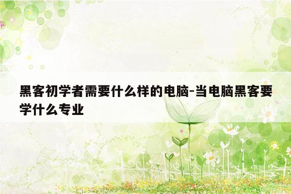 黑客初学者需要什么样的电脑-当电脑黑客要学什么专业