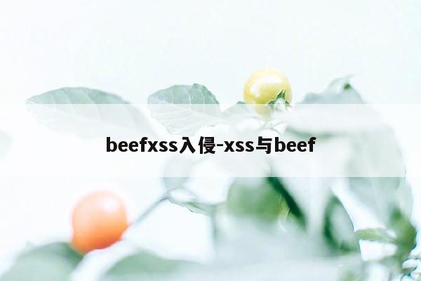 beefxss入侵-xss与beef
