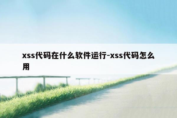 xss代码在什么软件运行-xss代码怎么用