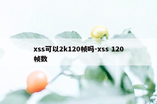 xss可以2k120帧吗-xss 120帧数