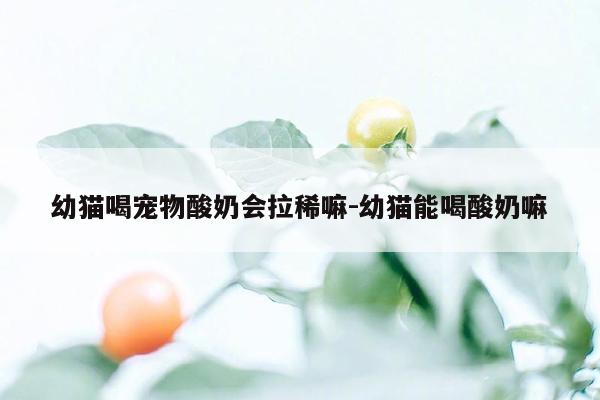 幼猫喝宠物酸奶会拉稀嘛-幼猫能喝酸奶嘛