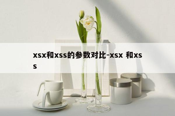 xsx和xss的参数对比-xsx 和xss