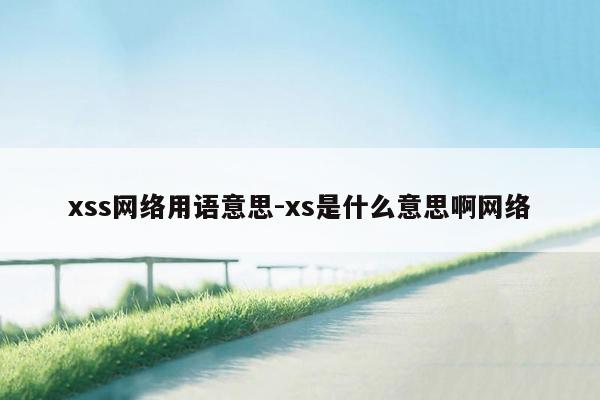 xss网络用语意思-xs是什么意思啊网络