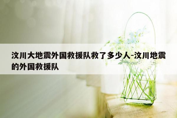 汶川大地震外国救援队救了多少人-汶川地震的外国救援队