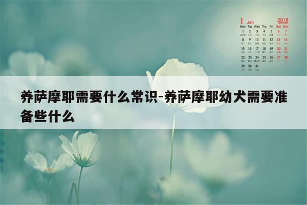 养萨摩耶需要什么常识-养萨摩耶幼犬需要准备些什么