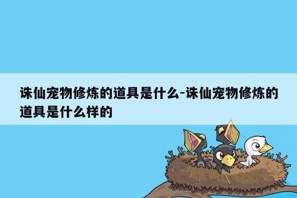 诛仙宠物修炼的道具是什么-诛仙宠物修炼的道具是什么样的