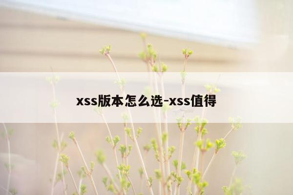 xss版本怎么选-xss值得