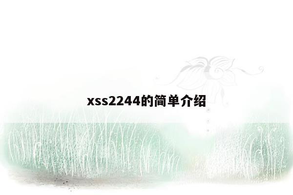 xss2244的简单介绍