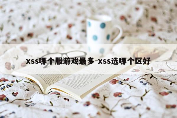 xss哪个服游戏最多-xss选哪个区好