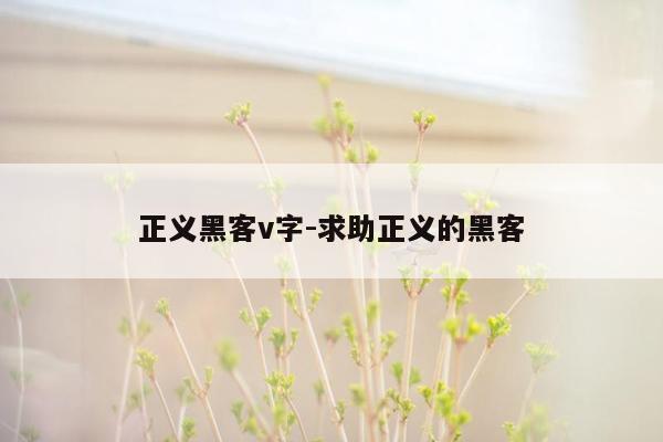 正义黑客v字-求助正义的黑客