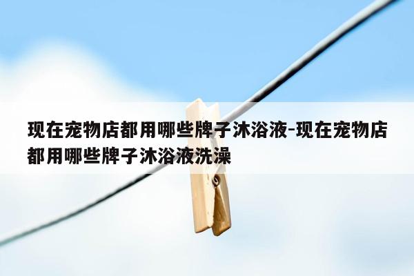 现在宠物店都用哪些牌子沐浴液-现在宠物店都用哪些牌子沐浴液洗澡
