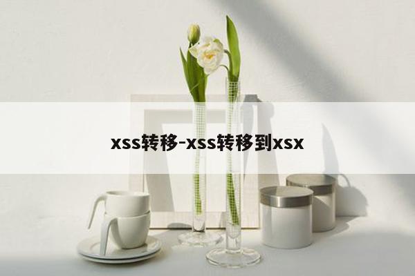 xss转移-xss转移到xsx