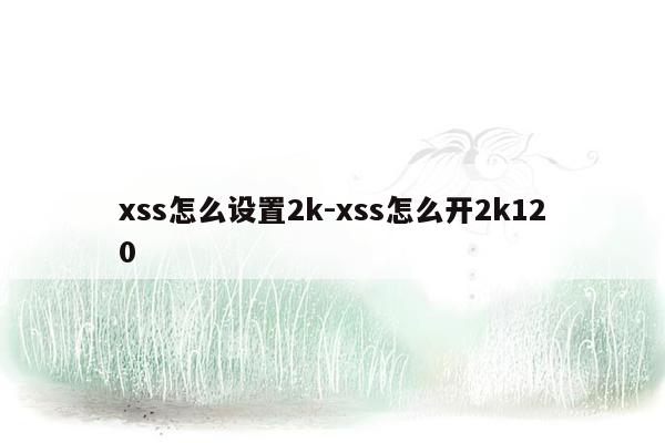 xss怎么设置2k-xss怎么开2k120