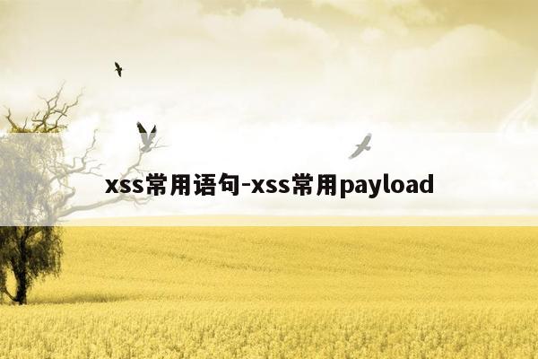 xss常用语句-xss常用payload