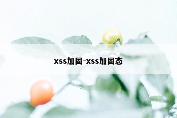 xss加固-xss加固态