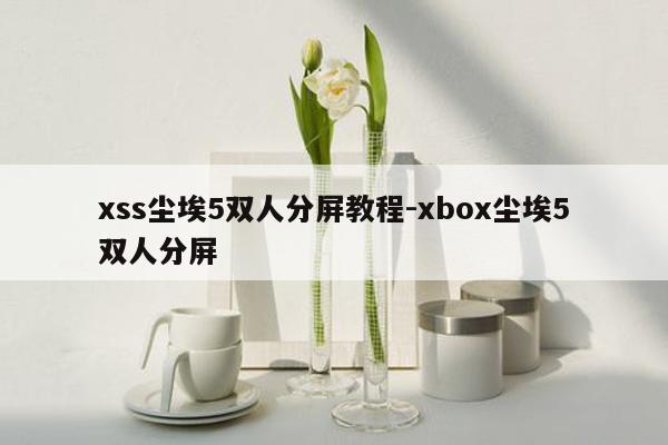 xss尘埃5双人分屏教程-xbox尘埃5双人分屏