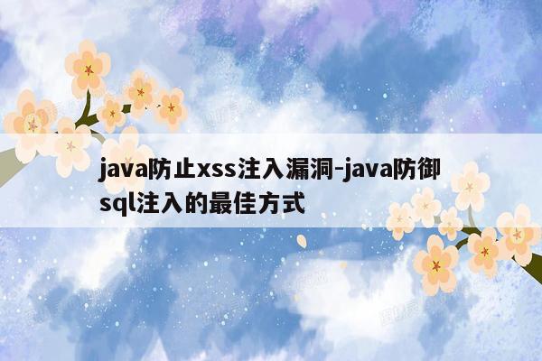 java防止xss注入漏洞-java防御sql注入的最佳方式