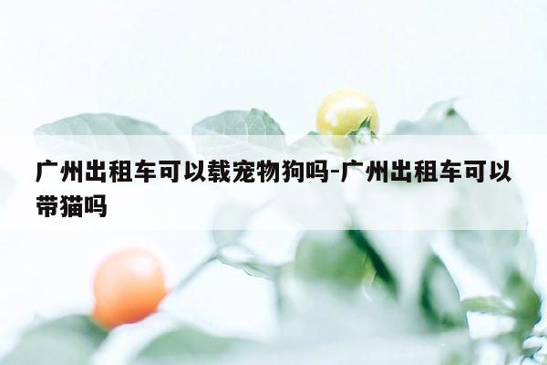 广州出租车可以载宠物狗吗-广州出租车可以带猫吗